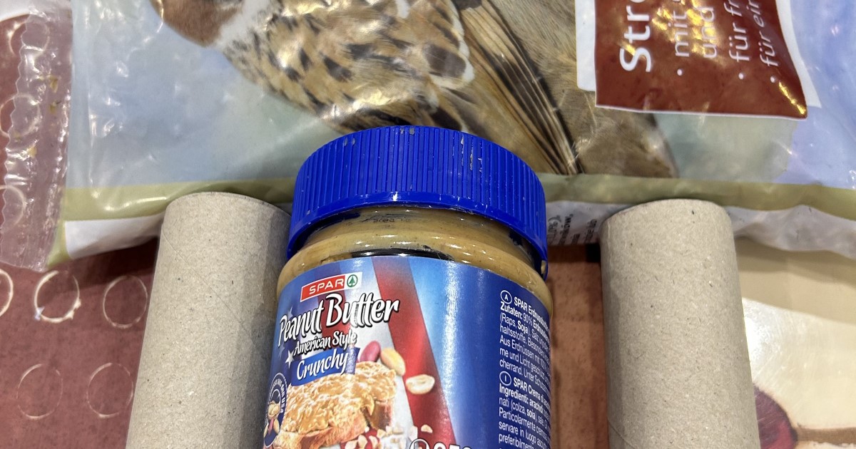 Vogelfutterstation - Die lauten Nachbarn